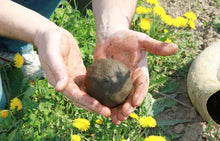 Load image into Gallery viewer, Heinrich Naked White 2017 - iWine.sg