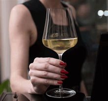 Load image into Gallery viewer, Gabriel Glas StandArt (machine made) - 1 set of 6 glasses - iWine.sg