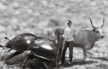 Load image into Gallery viewer, Heinrich Naked White 2017 - iWine.sg