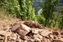 Load image into Gallery viewer, Van Volxem Altenberg Alte Reben Riesling 2009 - iWine.sg