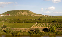 Load image into Gallery viewer, Contino Vina del Olivo (Rioja) 2014 - iWine.sg