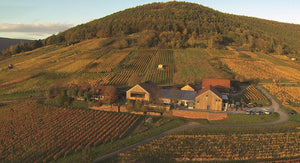 Rudolf Furst winery in Franken Germany